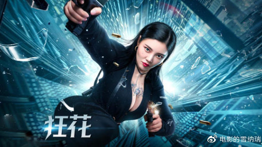 购买爱达荷州驾照多少钱